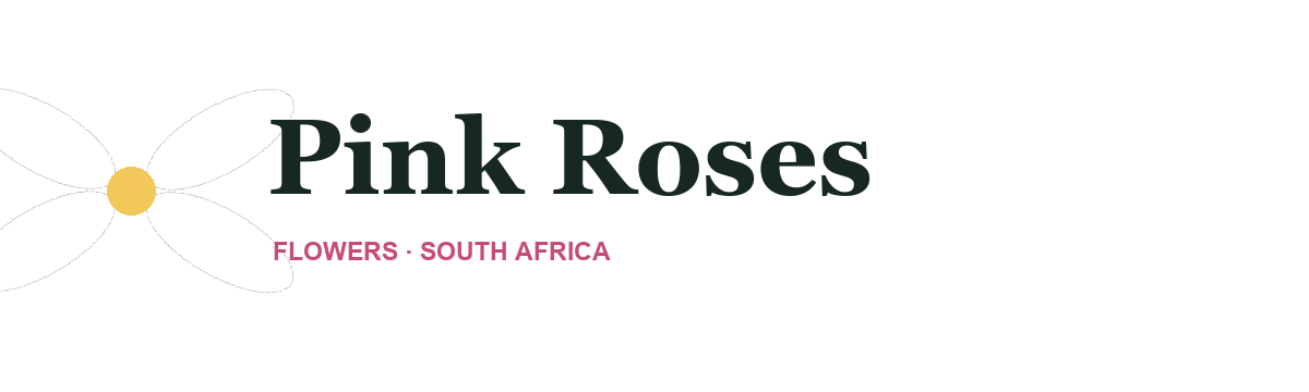 Pink Roses.co.za